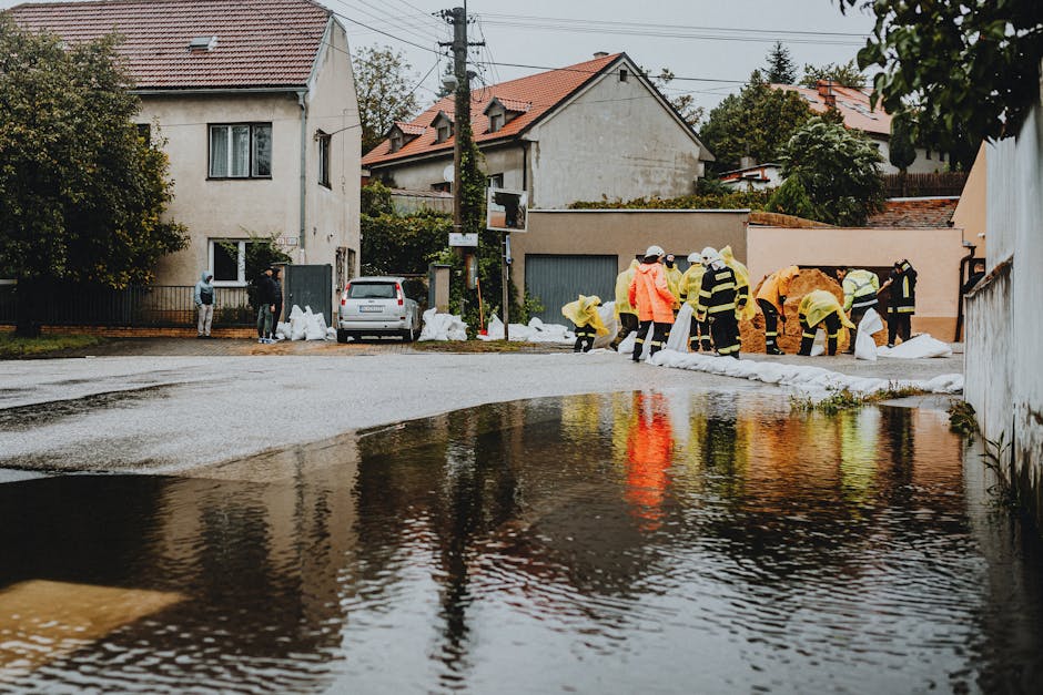 A group of emergency responders wearing high-visibility jackets and protective gear are working on a flooded residential street in Pimlico, with water accumulated on the road surface. Several individuals are handling sandbags, placed along the curb to prevent further water ingress into nearby houses. Vehicles are parked near the homes, which feature various wall finishes, including brick and plaster, with windows and doors visible. The scene is illuminated by natural daylight, with wet surfaces reflecting light and showing signs of recent flooding. The area is lined with trees and overhead power lines, indicating a typical urban residential setting. Carpet Cleaning Pimlico's presence in the scene suggests a focus on post-flood cleaning and drying services for homes affected by the floodwaters.